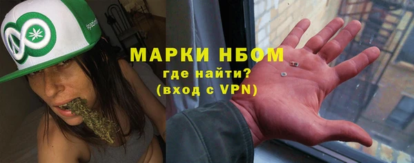 стафф Алзамай