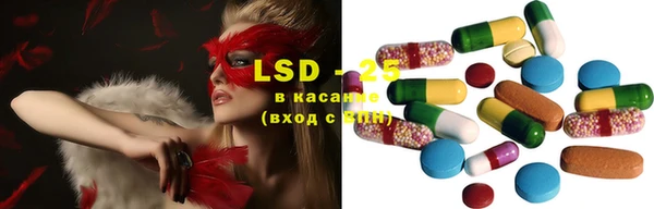 стафф Алзамай