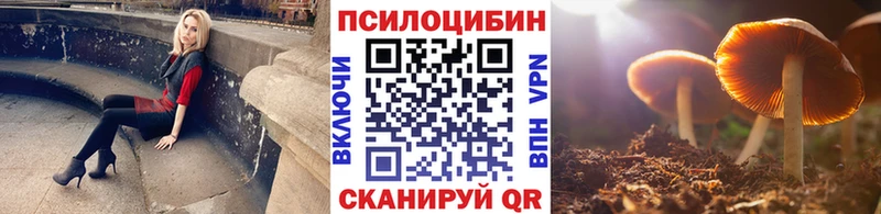 как найти закладки  Геленджик  Псилоцибиновые грибы GOLDEN TEACHER 
