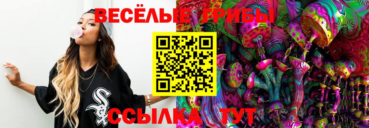 Псилоцибиновые грибы прущие грибы  Вход с VPN  купить наркоту  Геленджик 